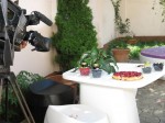 Filmarea Rubricii TV Arta De A Trai Sanatos, Despre Fructe De Padure, Cu Cecilia Caragea 7